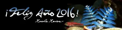 [TodoMarino.com] ¡¡¡ FeliZ 2016 !!!