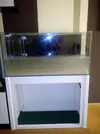 [TodoMarino.com] Montaje 200 litros mas Sump de 80l