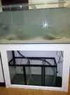 [TodoMarino.com] Montaje 200 litros mas Sump de 80l