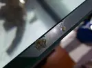 [TodoMarino.com] Ayudadme a identificar lo que viene en mi roca