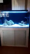[TodoMarino.com] Montaje 200 litros mas Sump de 80l
