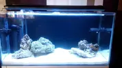 [TodoMarino.com] Montaje 200 litros mas Sump de 80l