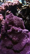 [TodoMarino.com] Un trozo de oceano