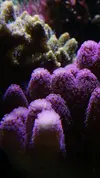 [TodoMarino.com] Un trozo de oceano