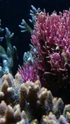 [TodoMarino.com] Un trozo de oceano