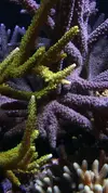 [TodoMarino.com] Un trozo de oceano