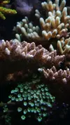[TodoMarino.com] Un trozo de oceano