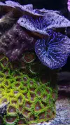 [TodoMarino.com] Un trozo de oceano