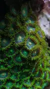 [TodoMarino.com] Un trozo de oceano