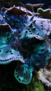 [TodoMarino.com] Un trozo de oceano