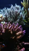[TodoMarino.com] Un trozo de oceano