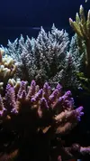 [TodoMarino.com] Un trozo de oceano