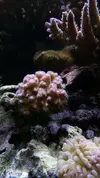 [TodoMarino.com] Un trozo de oceano