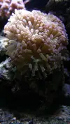 [TodoMarino.com] Un trozo de oceano