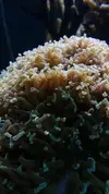 [TodoMarino.com] Un trozo de oceano