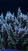 [TodoMarino.com] Un trozo de oceano