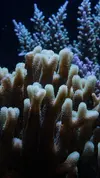 [TodoMarino.com] Un trozo de oceano
