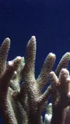 [TodoMarino.com] Un trozo de oceano