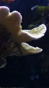 [TodoMarino.com] Un trozo de oceano