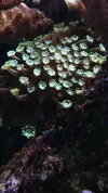 [TodoMarino.com] Un trozo de oceano