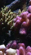 [TodoMarino.com] Un trozo de oceano
