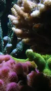 [TodoMarino.com] Un trozo de oceano