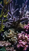[TodoMarino.com] Un trozo de oceano