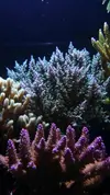 [TodoMarino.com] Un trozo de oceano