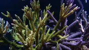 [TodoMarino.com] Un trozo de oceano