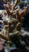 [TodoMarino.com] Un trozo de oceano