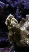 [TodoMarino.com] Un trozo de oceano