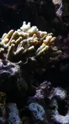 [TodoMarino.com] Un trozo de oceano