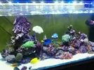 [TodoMarino.com] Consejos   para  pantalla  led casera