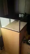 [TodoMarino.com] ♧♣《《Sharpei reef》》♣♧