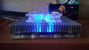 [TodoMarino.com] ♧♣《《Sharpei reef》》♣♧