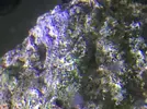 [TodoMarino.com] Capa blanquecina encima de algunas rocas