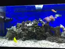 [TodoMarino.com] Plaga de alga verde!!!