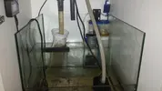[TodoMarino.com] Donde instalar mi clarificador o filtro UV 9W En mi Sump?