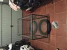 [TodoMarino.com] Goldovit reef