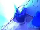 [TodoMarino.com] Goldovit reef