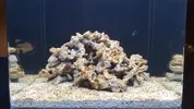 [TodoMarino.com] Mi nano
