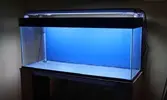 [TodoMarino.com] Me inicio con un 250L