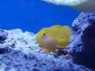 [TodoMarino.com] aquascaping 360 litros desde cero
