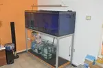 [TodoMarino.com] Acuario Marino 1.0
