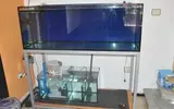 [TodoMarino.com] Acuario Marino 1.0