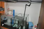 [TodoMarino.com] Acuario Marino 1.0