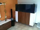 [TodoMarino.com] Acuario Marino 1.0