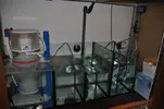[TodoMarino.com] Acuario Marino 1.0