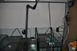 [TodoMarino.com] Acuario Marino 1.0