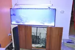 [TodoMarino.com] Acuario Marino 1.0